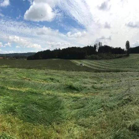 Appartamento In Near The Forest Dietmannsried